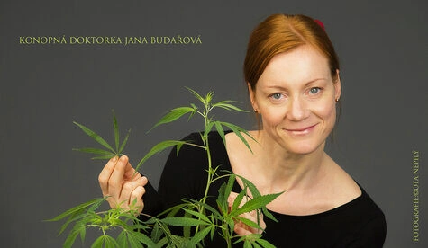 Spona Flema
